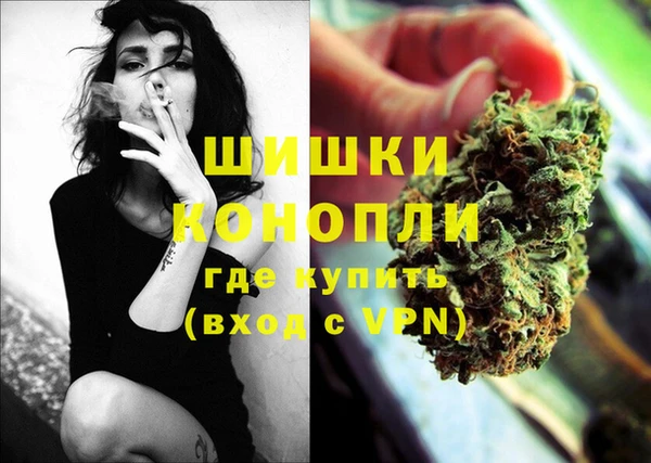 сатива Дмитровск