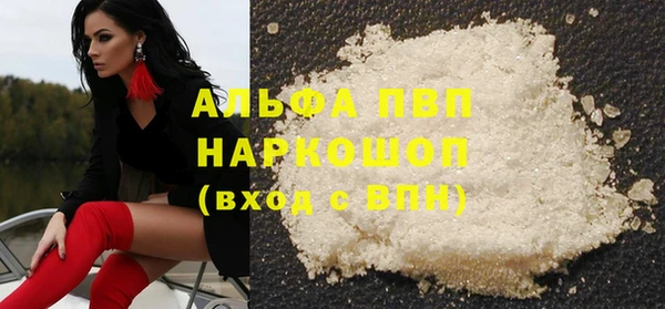 сатива Дмитровск