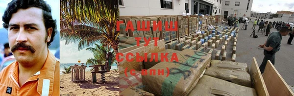 сатива Дмитровск