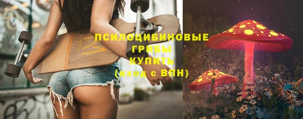 сатива Дмитровск