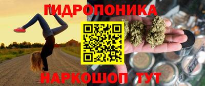 мяу мяу мука Гагарин