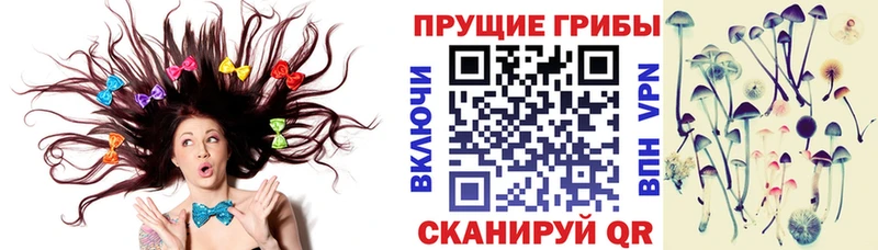 Галлюциногенные грибы Psilocybine cubensis Заволжье