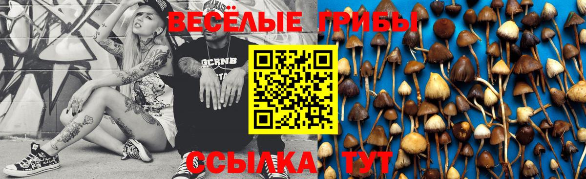 Галлюциногенные грибы прущие грибы Заволжье