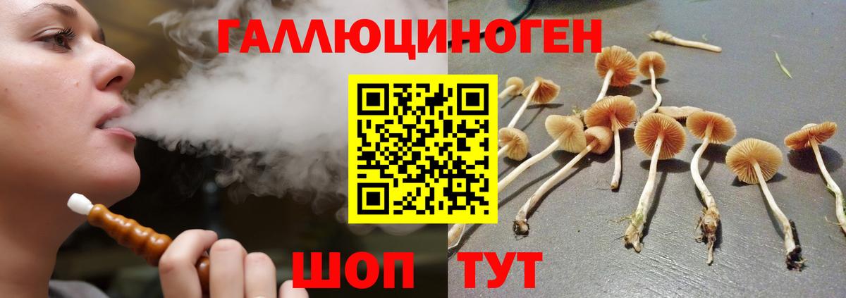 Галлюциногенные грибы Psilocybine cubensis  Галлюциногенные грибы мухоморы  Заволжье 